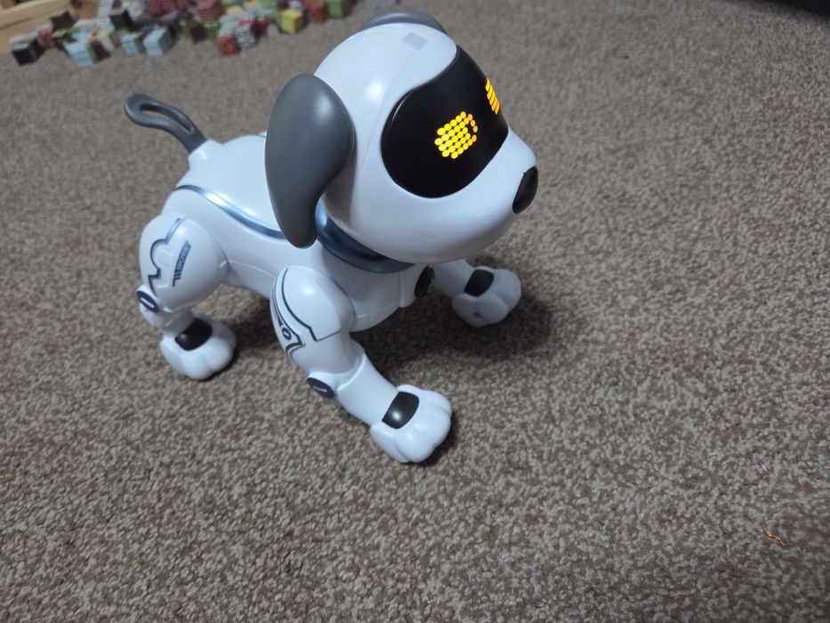 Piesek zdalnie sterowany.