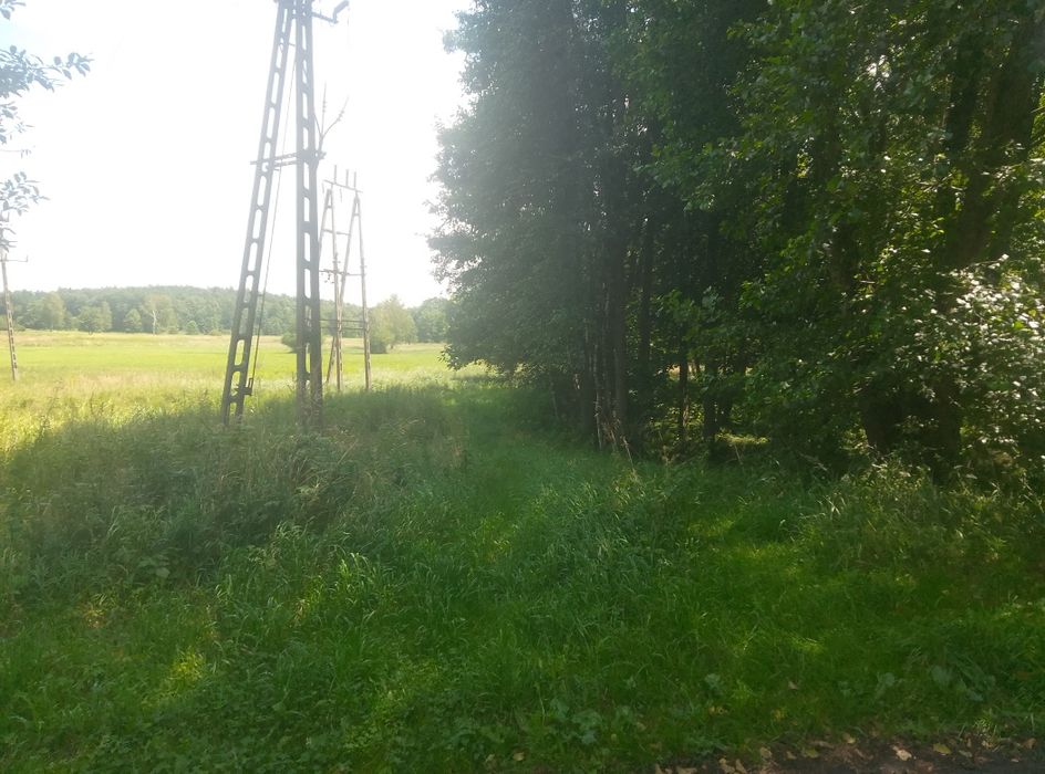 Działka na dzierżawę,wynajem - Więcej