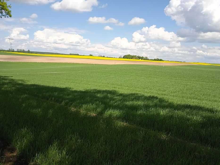 Działka budowlana Dankowo