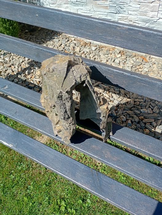 Korzeń do akwarium imitacja d zerewna
