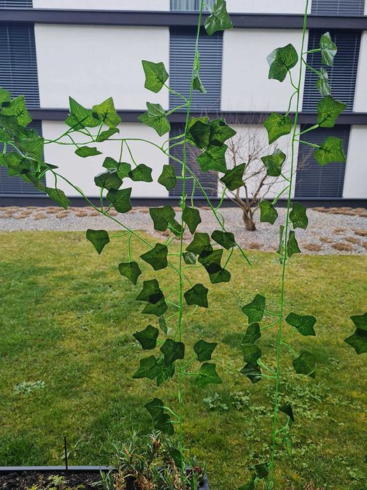 Sztuczny bluszcz 50 m na ścianę balkon taras dekoracja 50 metrów