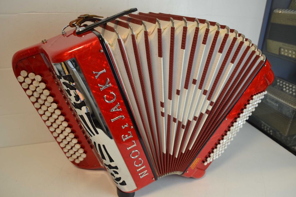 Vendo Acordeão á 2. Voz semi-novo Crucianelli (Nicole &Jacky)