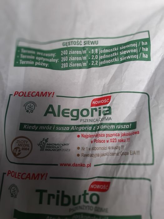 Pszenzyto, pszenica Żyto Alvaro, Diament, Kalcyt, Rubin, Granat