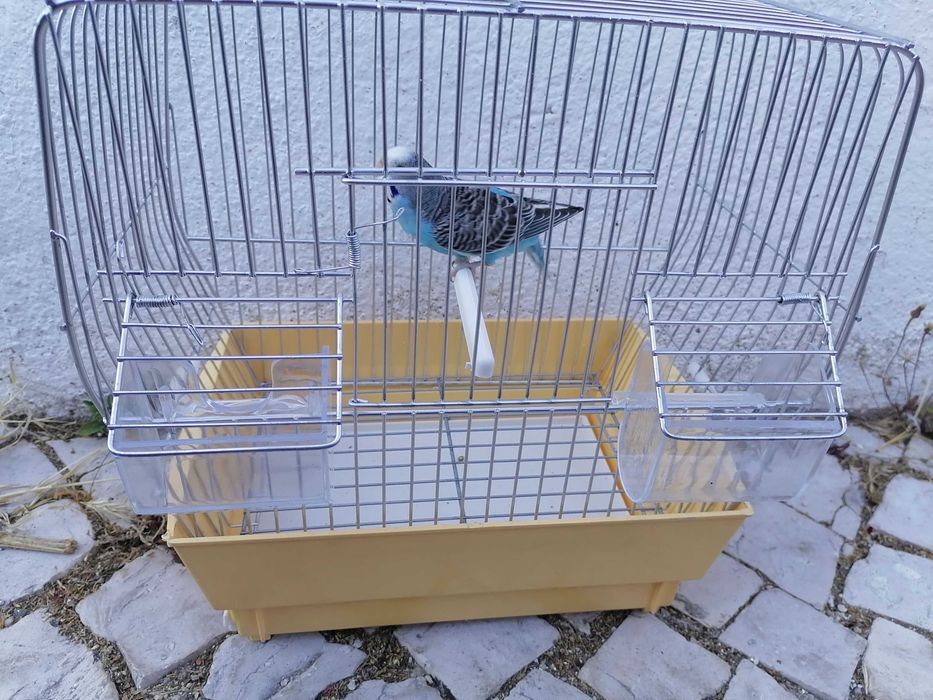 Vendo kit completo piriquito Gaiola ração