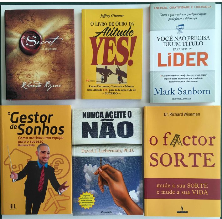 O Segredo - O Gestor de Sonhos - Vários Livros