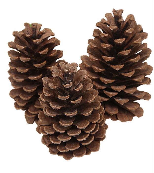 Pinhas para lareira, churrasco e salamandra