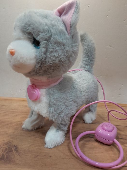 Kot na smyczy miałczy chodzi