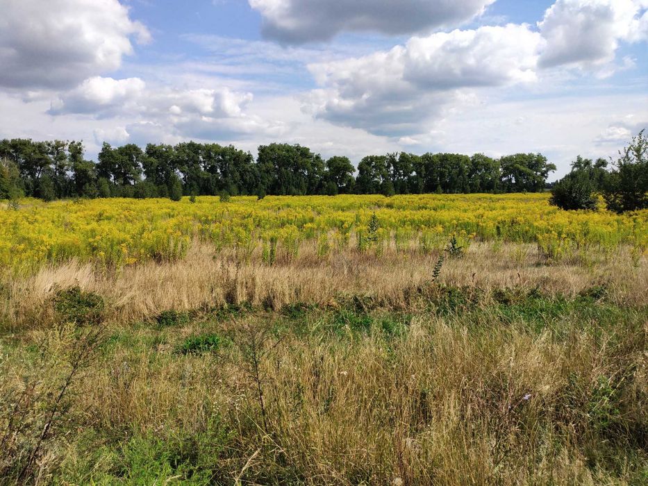 Продам 50-сот землі фасад село Глибочиця об'їзна дорога на Вінницю