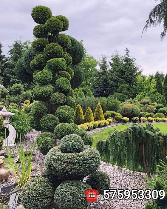 Usługi ogrodnicze Dębica i okolice