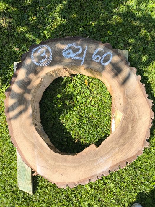 Suche plastry orzecha włoskiego