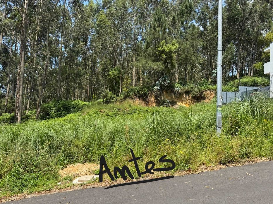 Serviços Jardinagem e Limpeza de Terrenos - José Rocha