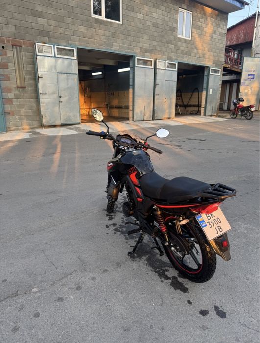 Mustang Region Mt 250