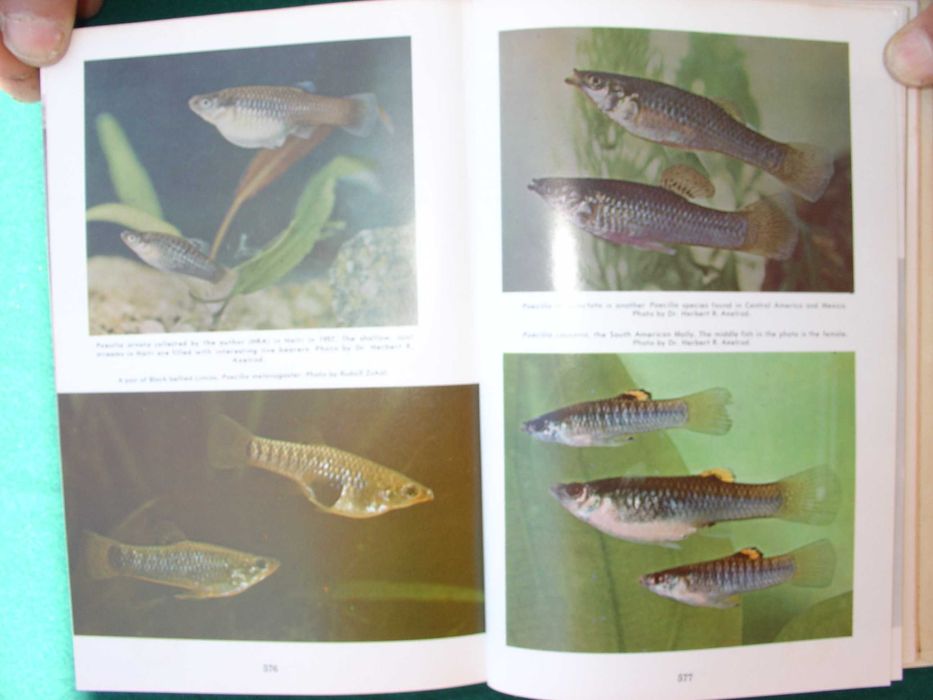 Enciclopedia of Tropical Fishes