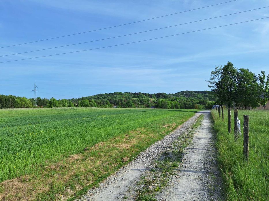 Atrakcyjna działka budowlana na sprzedaż – Harklowa, gm. Skołyszyn - Widok 5
