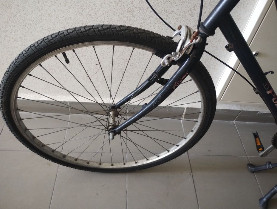 Rower Horizon Pointer