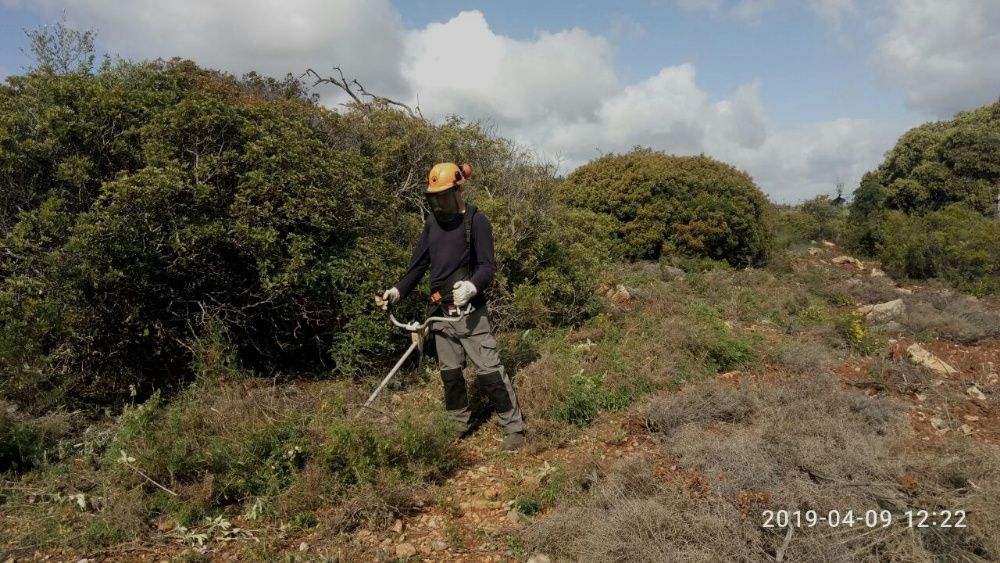 Limpeza de terrenos e mata.