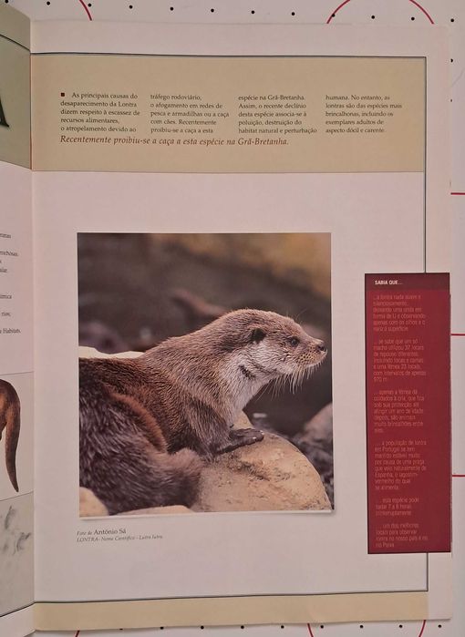 Coleção completa Animais em Perigo + Medalhas