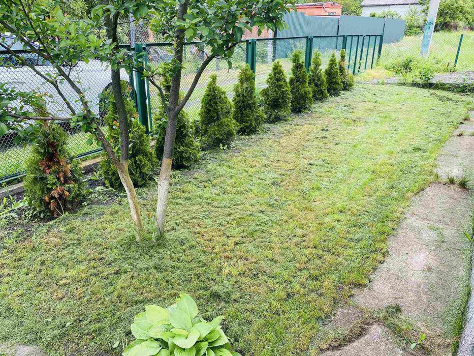 Шикарна дача в аренду на березі річки вільшанка