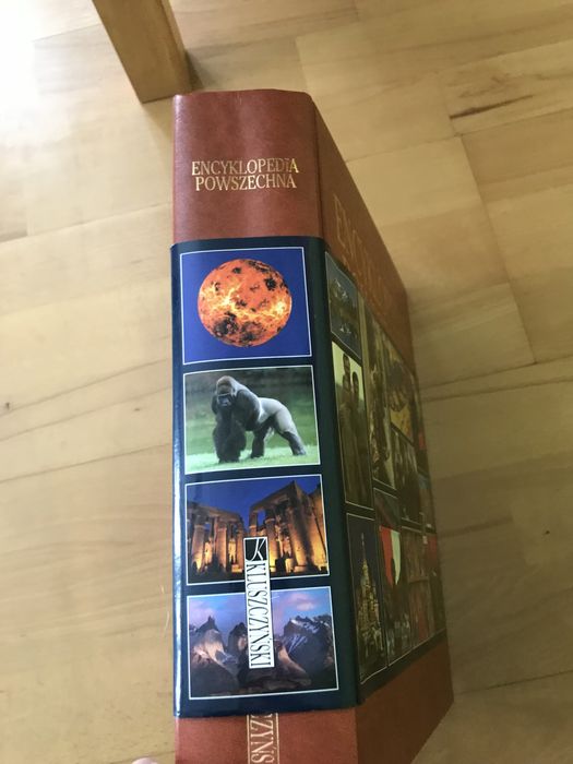 Encyklopedia Powszechna Ryszard Kluszczyński