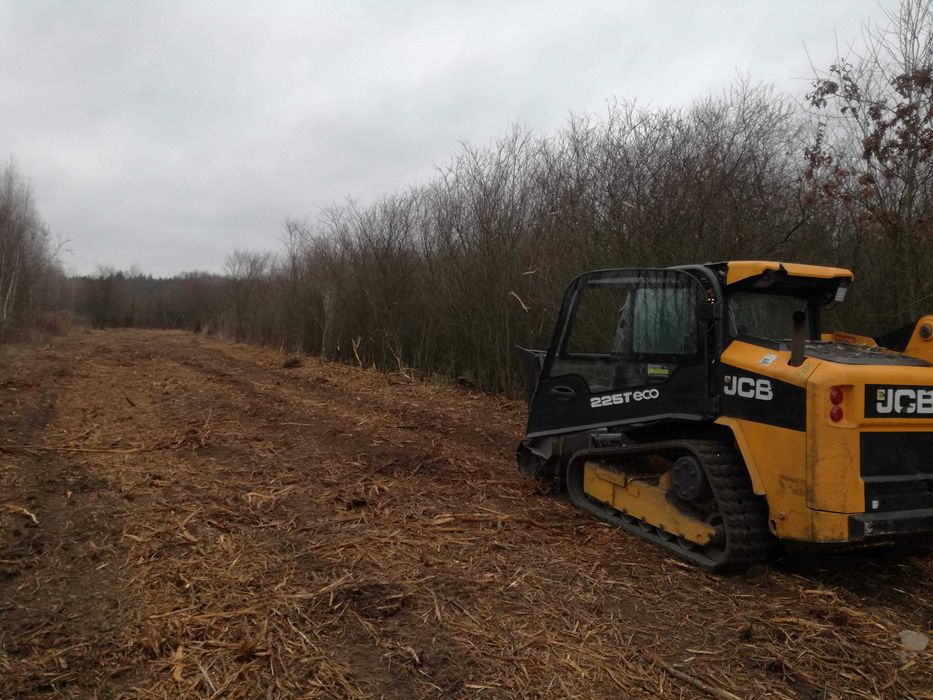 czyszczenie działek mulczer leśny & wgłębny wyrywanie pni koszenie