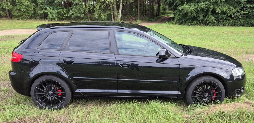 Audi A3 8P 2.0Tdi Quattro
