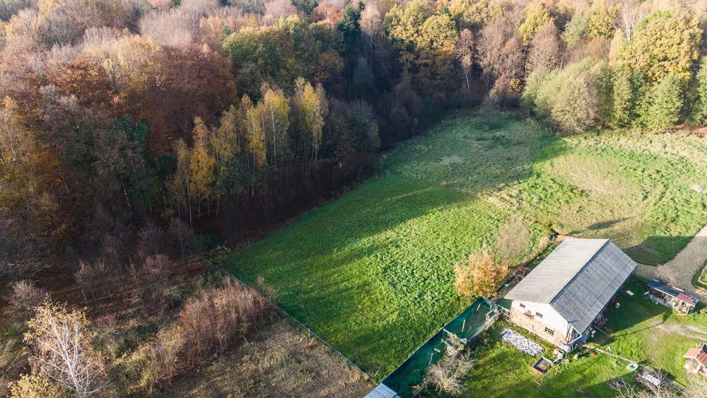 Pisarzowice, działka, 3091 m², budowlana, MPZP