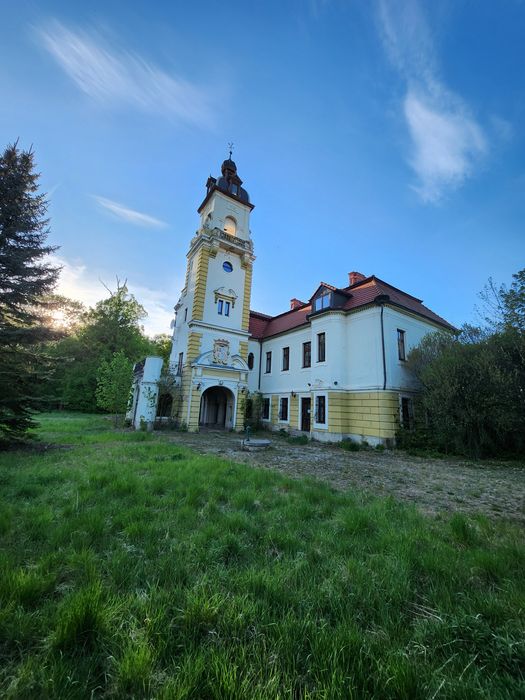 Do wynajęcia Pałac