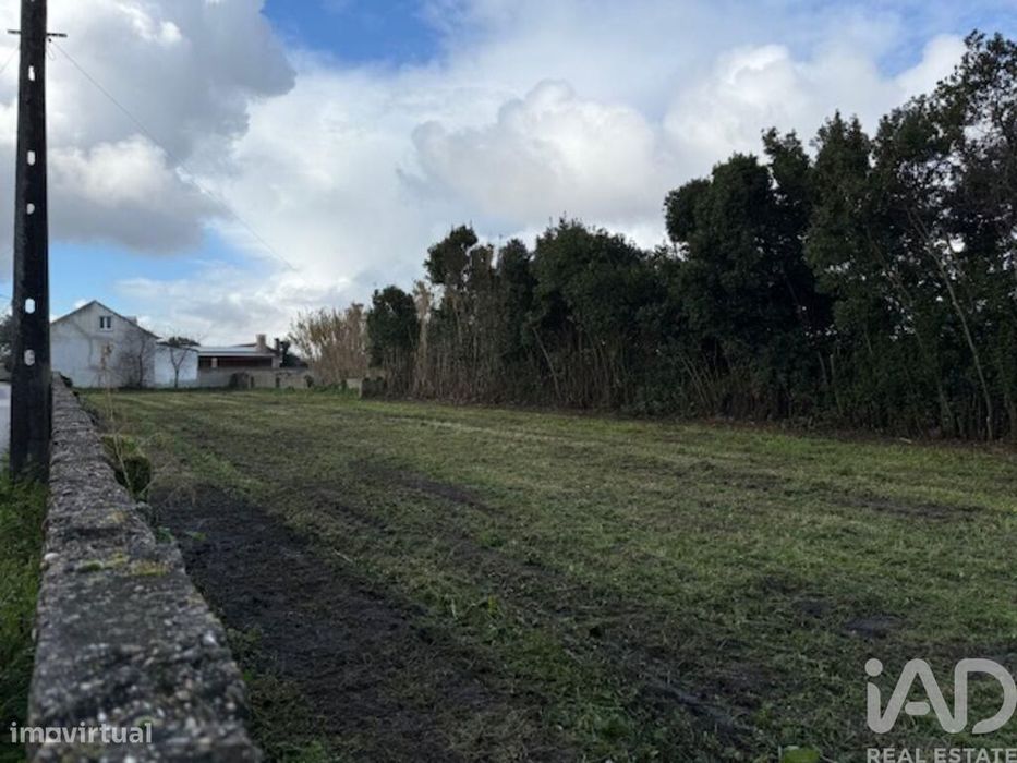 Terreno em Monte Real e Carvide