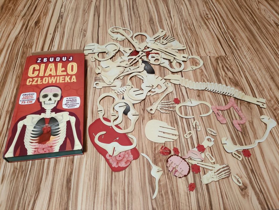 Zbuduj ciało człowieka książka