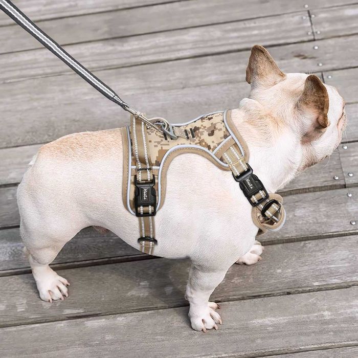 Arnês para cães pequenos, semi novo