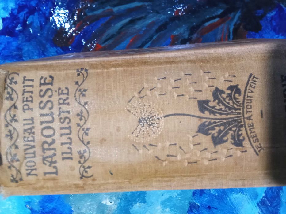 Dicionário Nouveau Petit Larousse Ilustrado