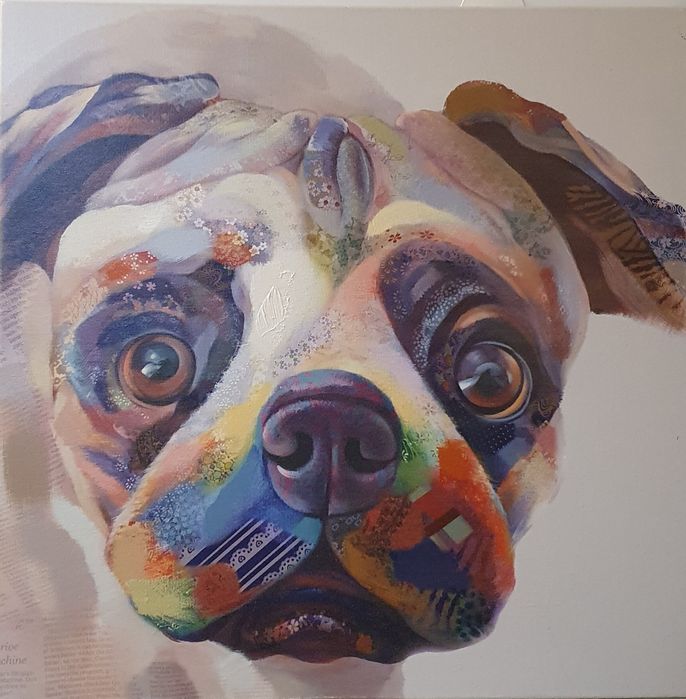Quadro buldog 4house 60×60cm