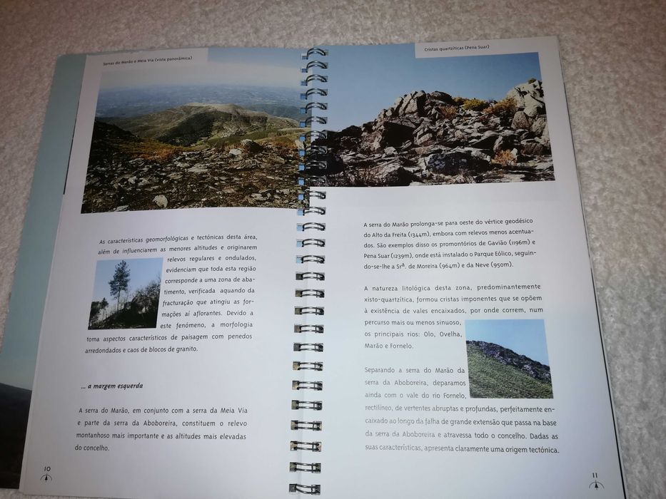 amarante (roteiro natural) 2001 livro