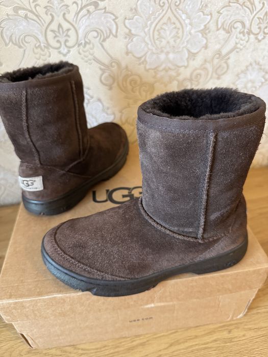 Модні  зимові чоботи UGG оригінал, шоколад, (натуральна цигейка)