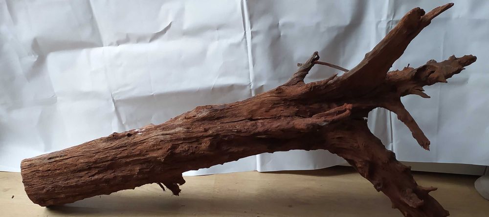 Olbrzymi korzeń do akwarium-101cm x 54cm