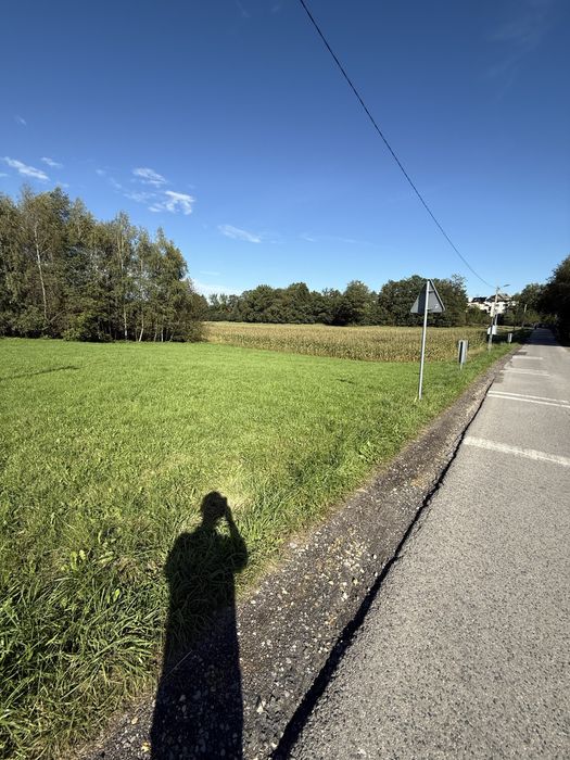 Działka usługowo-budowlana 20,65 ara | Bulowice | własny lasek | droga asfaltowa | doskonała lokalizacja - Widok 5