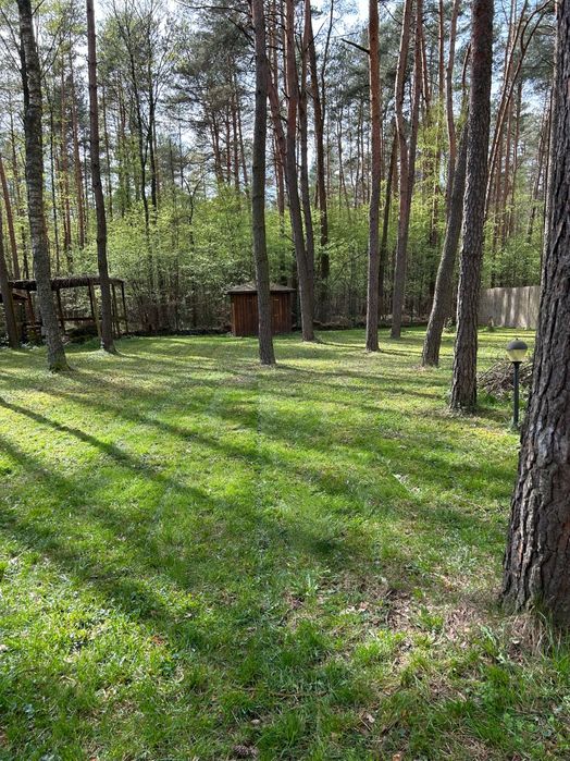 Domek letniskowy w lesie Ustronie k. Grotnik
