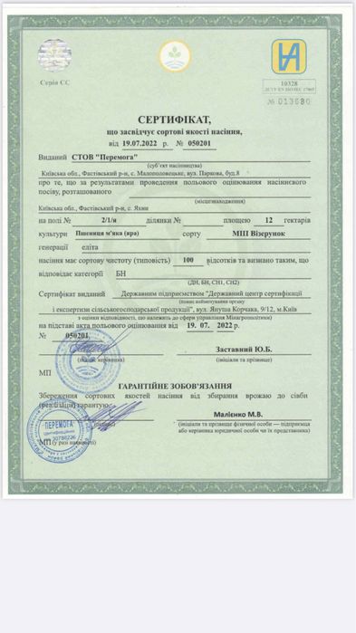 Яра пшениця «Візерунок» м‘яка