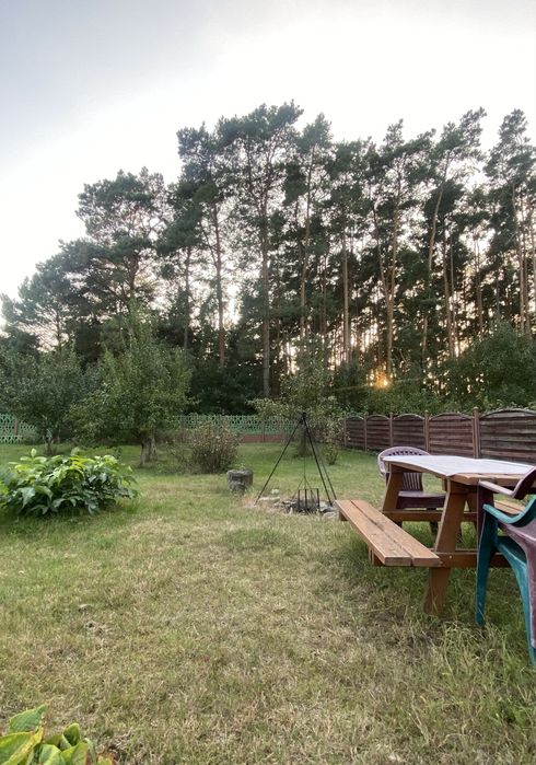 Przytulny domek letniskowy blisko jeziora i lasu