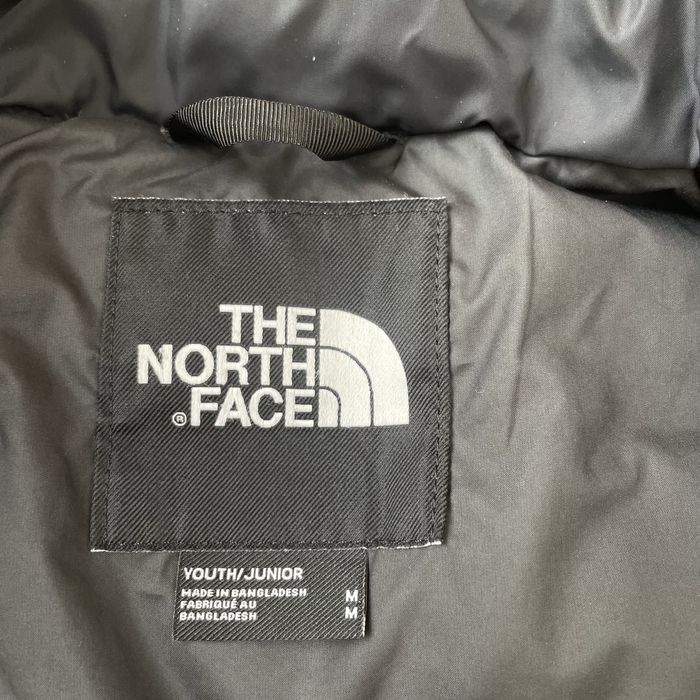 The North Face 700 Puffer