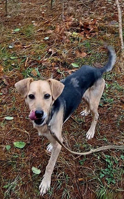 Vito szuka właśnie Ciebie!