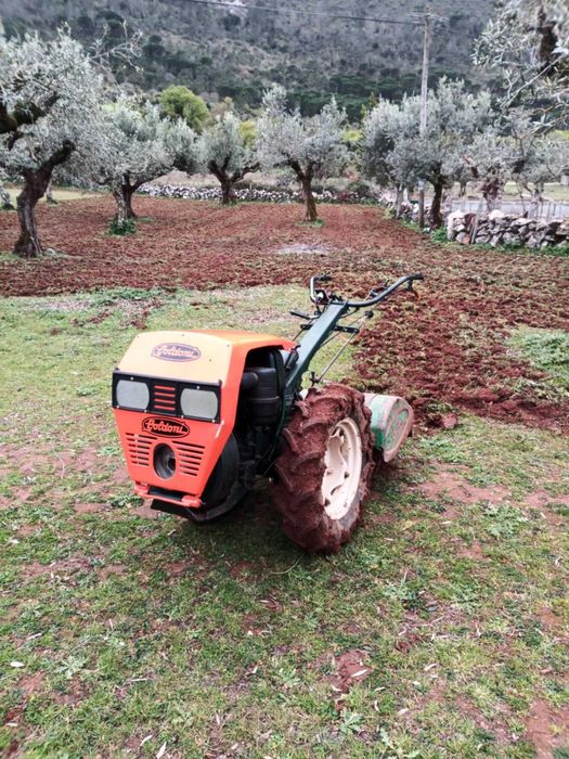 Motocultivador Goldoni719 com 19 cavalos