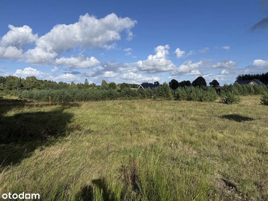 Działka budowlana Bojano 1849 m² - Widok 3