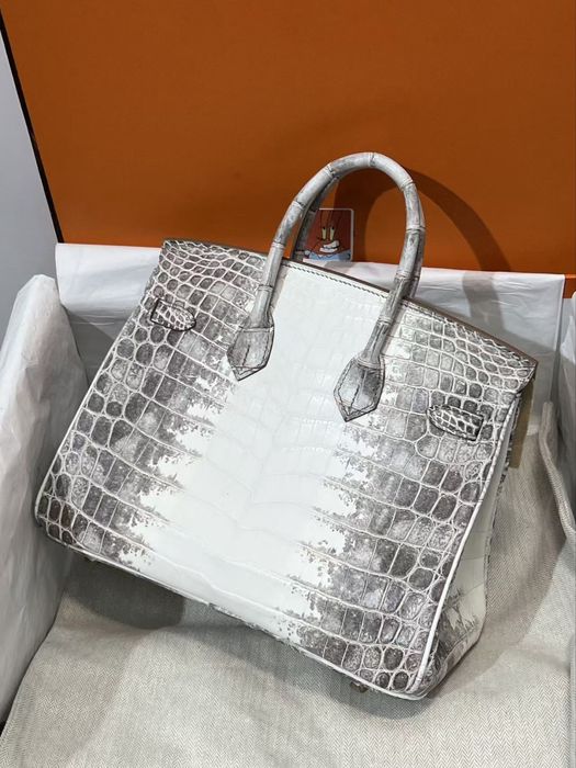 Hermes Birkin 25 Himalaya