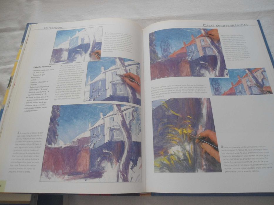 Pintura em acrílicos - As bases - As técnicas - Os Motivos