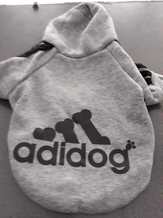 Roupinhas para cães pequeninos