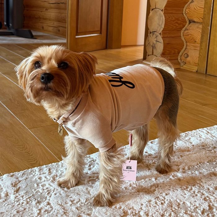 Кофтинка для собаки від Juicy Couture