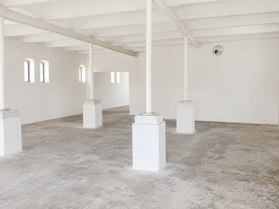 Wynajmę budynek 283 m² + plac przy DK25 | Drołtowice / Syców