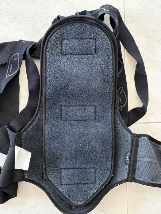 UFO motorcycle back protection shield