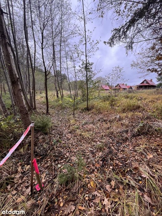 Wierzchy Tleń, działka w spokojnej okolicy przy lesie, Bory Tucholskie